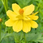 O1CN01eIVW4x2JkjlU0ElLK__2213216199460