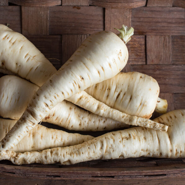 All-American Parsnip Seeds