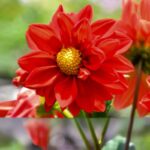 O1CN019xKZp92BdOFtjB7Nl__2044468361-0-cib