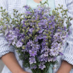 O1CN01idCfbh2JkjbWkUsOy__2213216199460_jpg_q30_jpg