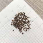 O1CN01sywEsN2Jkjlqxx4P4__2213216199460_jpg_q50_jpg