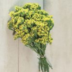 O1CN01XVe4lR2BdOLFYhBRu__2044468361-0-cib