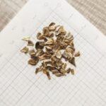 O1CN015Yv2TD2JkjaN5kC4c__2213216199460