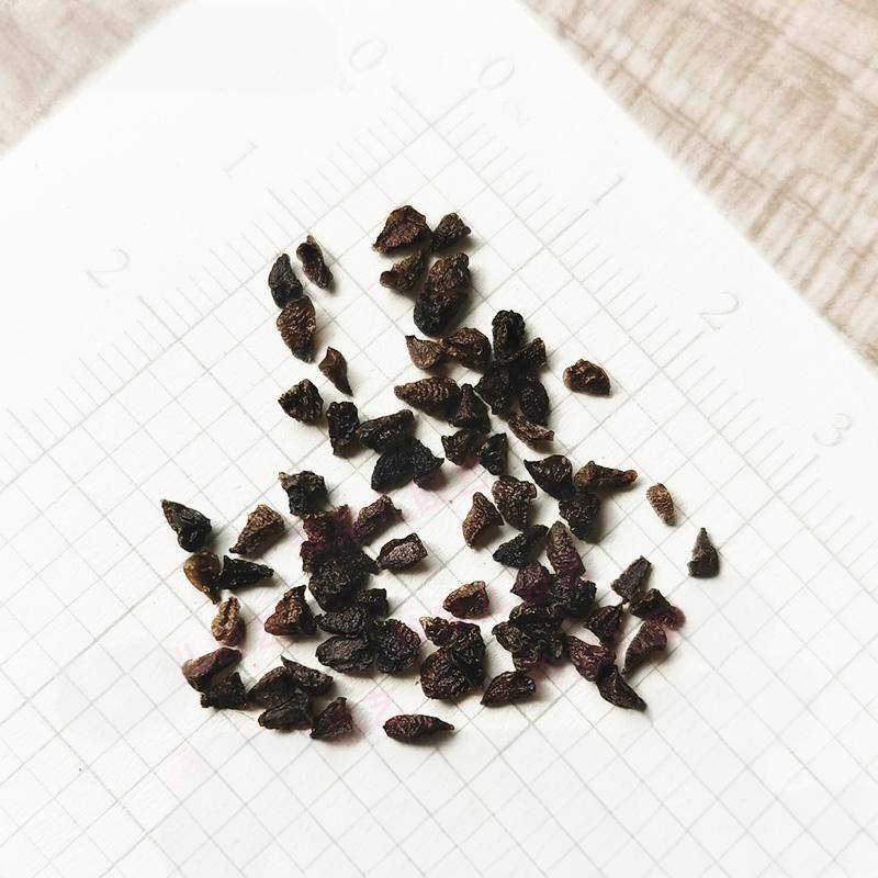 077ab6356987a447b02bf99955168075