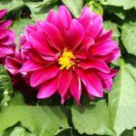 O1CN019xKZp92BdOFtjB7Nl__2044468361-0-cib