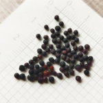 O1CN01WVXQ512JkjlTfsqBc__2213216199460_jpg_q50_jpg