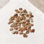 O1CN01XyQgUW2BdOHhVYDDL__2044468361-0-cib