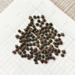 O1CN01PEpjyO2BdO9UF4zuY__2044468361-0-cib