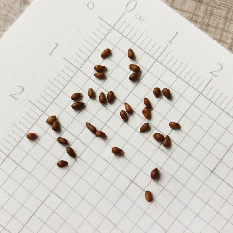 0ee5ae3af30083028f348fbb0af478fd_cf38f3f0-cb0c-4cce-9c21-1d77d6c680b2