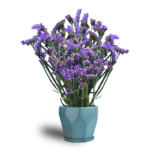 O1CN019XyjGg2BdOL4cYopN__2044468361-0-cib