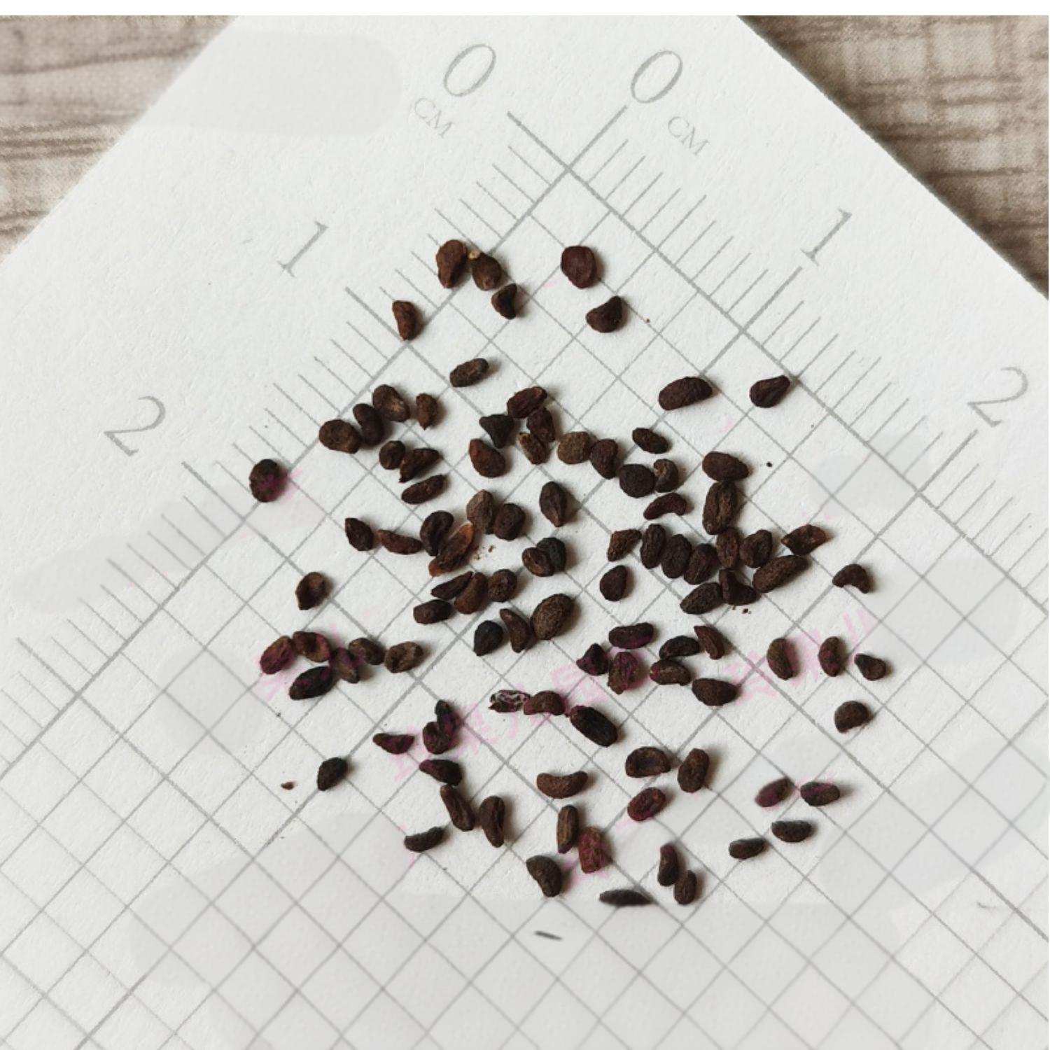 146496a75a1659ee6f2256d1b3810821