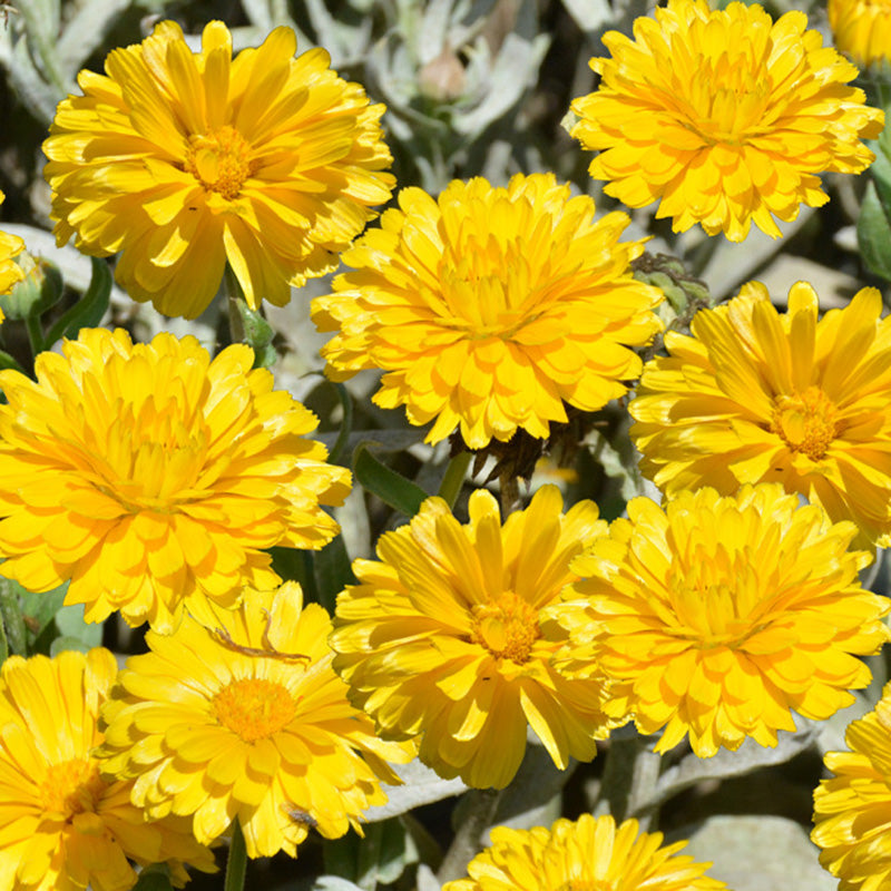 18752206700_500142703