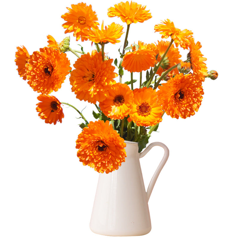 18752680919_500142703