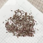 O1CN01w6YDWW2Jkjli1kSrr__2213216199460