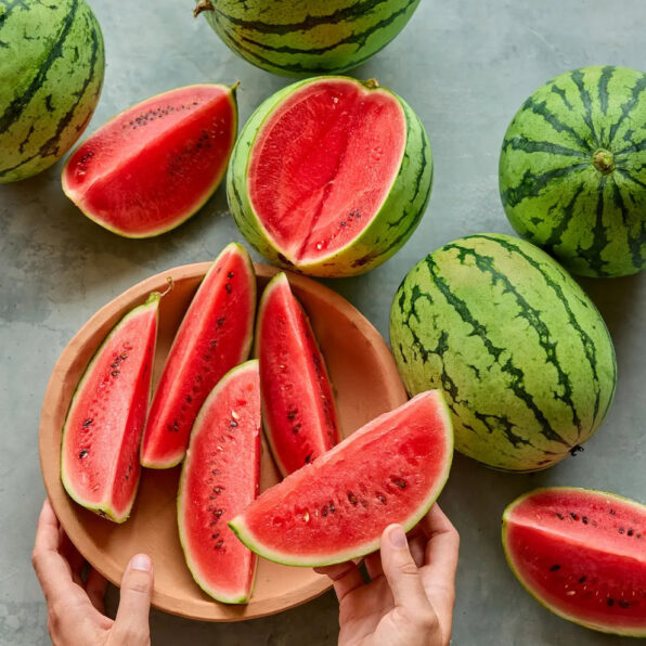 Mini-Me Hybrid Watermelon