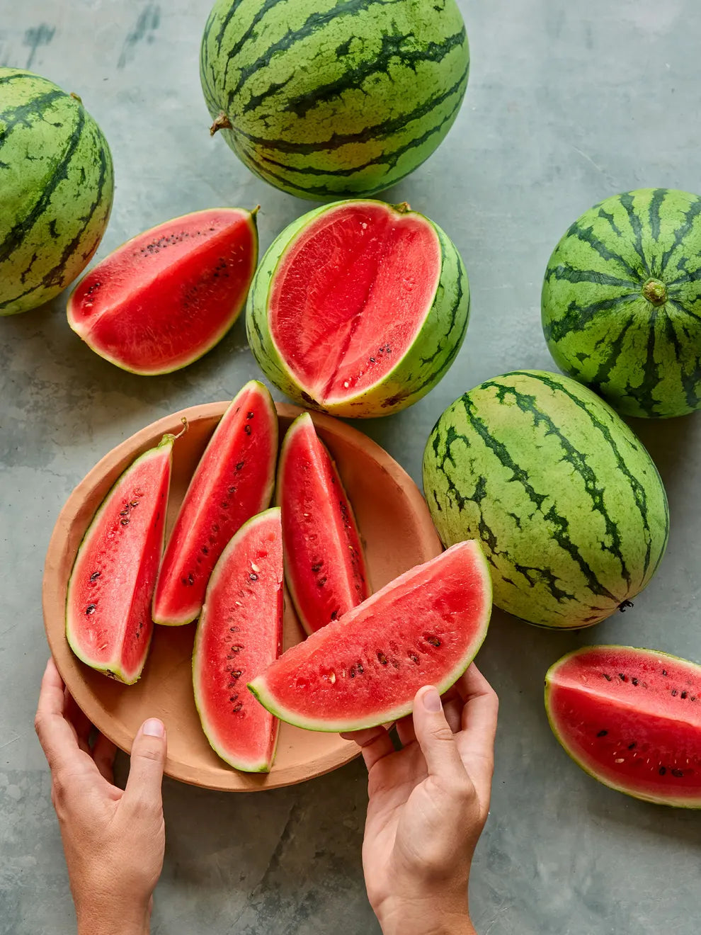Mini-Me Hybrid Watermelon