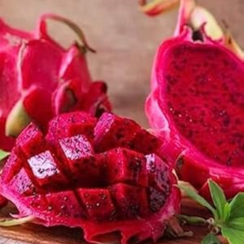 Rare Red Dragon Fruit Pitaya Seeds