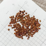 O1CN01tZX80a2BdOJ9sFUGR__2044468361-0-cib