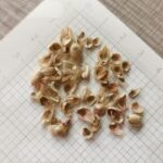 4655_03_quaking_grass