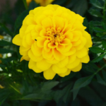 O1CN010sIqRZ2BdOQ6Ffb6r__2044468361-0-cib