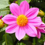 O1CN01r8urJy2BdOJCYFjbA__2044468361-0-cib