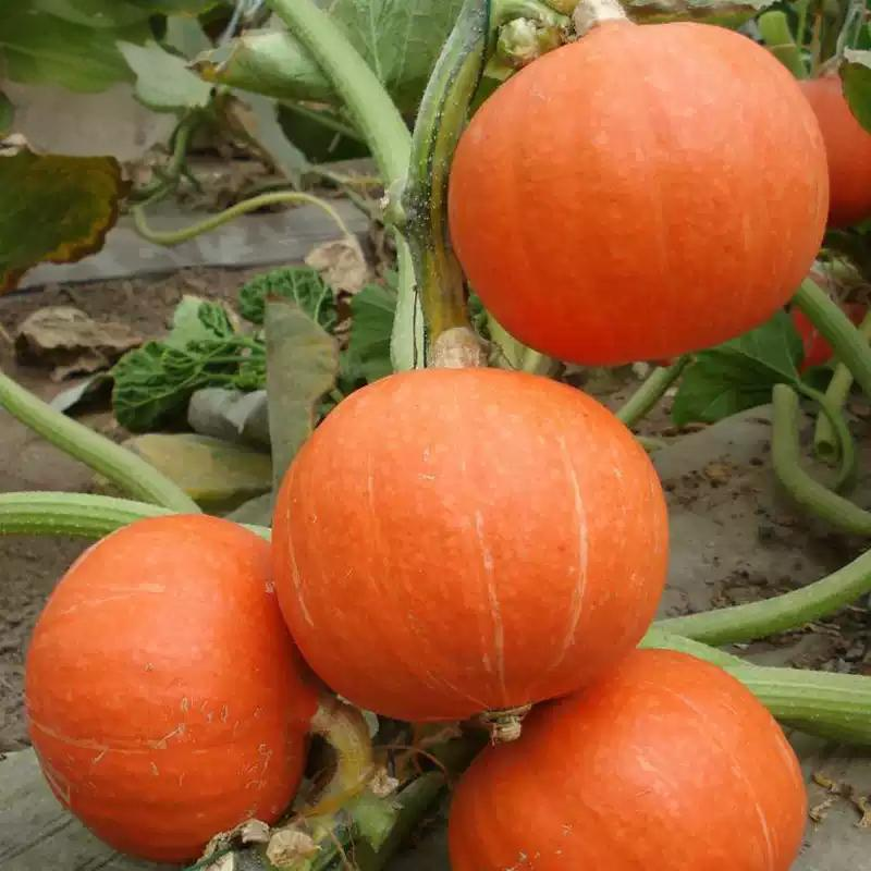 22cf4f6e1361ba382d75e78d236e093d