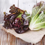 Mini Romaine Blend Lettuce Seeds