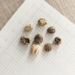 nasturtium-yeti-vis-1