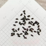 O1CN0111Gxzv2Jkjle5bZci__2213216199460_jpg_q50_jpg