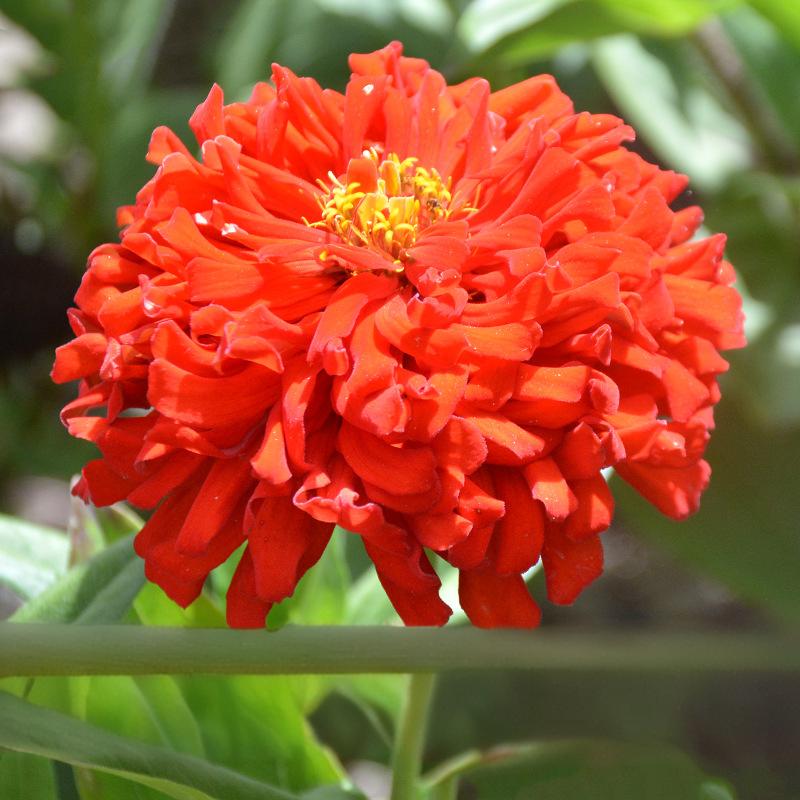 29ce36be9560bdef788ae4d68aec95b7