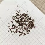 O1CN01ikY0IT2JkjXgx6sdg__2213216199460_1