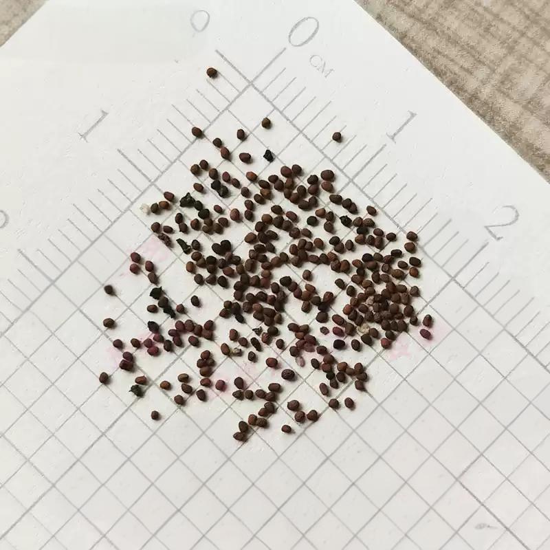 2bae74eb700f7a6e51b15a83b6441230