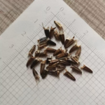 O1CN01Hgz7A02JkjlevxgOO__2213216199460_jpg_q50_jpg