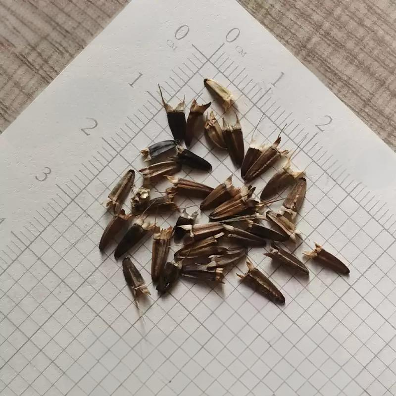 2e2accfa4a1bfeb7ed088d9f9f428f86