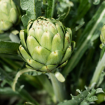 O1CN01wusa7J1dXiMiW1wMZ__1071273746_jpg_q50_jpg