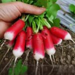 O1CN01HuP2Hs1hM2pO8TjIn__1643794262.jpg_q50.jpg__1