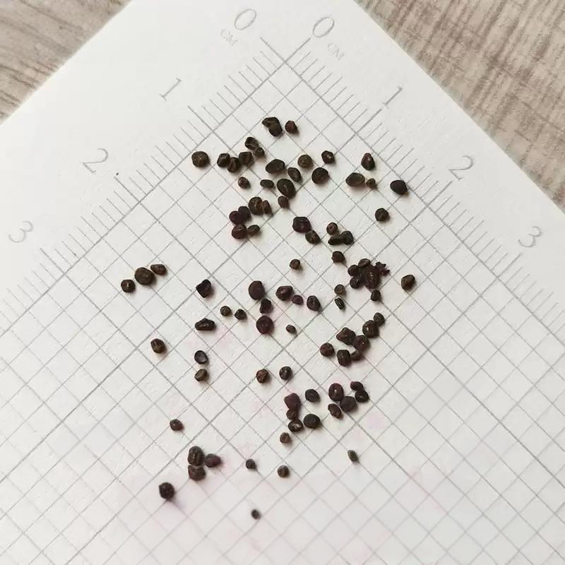 3a1285a2f53fa02d814ea4ae54698bad