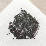 O1CN01BuDhvm2JkjlZSM9cE__2213216199460_jpg_q50_jpg