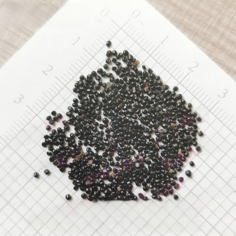 3a376dca7d922a4096ce3c2b5e19346f