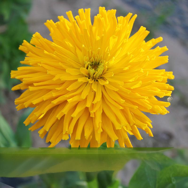 3a8751565f326624f1f1b30f0fbd017d