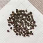 O1CN011YA8mc2JkjlRo2fdy__2213216199460_jpg_q50_jpg