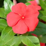 12356957048_500142703