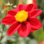 O1CN01r8urJy2BdOJCYFjbA__2044468361-0-cib