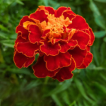 O1CN010sIqRZ2BdOQ6Ffb6r__2044468361-0-cib