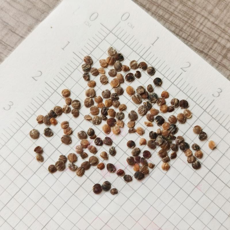 45539b7a18638ccda090a9b8ab4a1af9