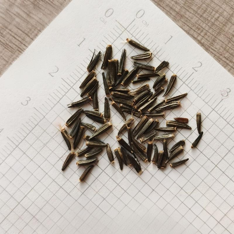 48411593bf8ddd8262aeffb71ce21cf8