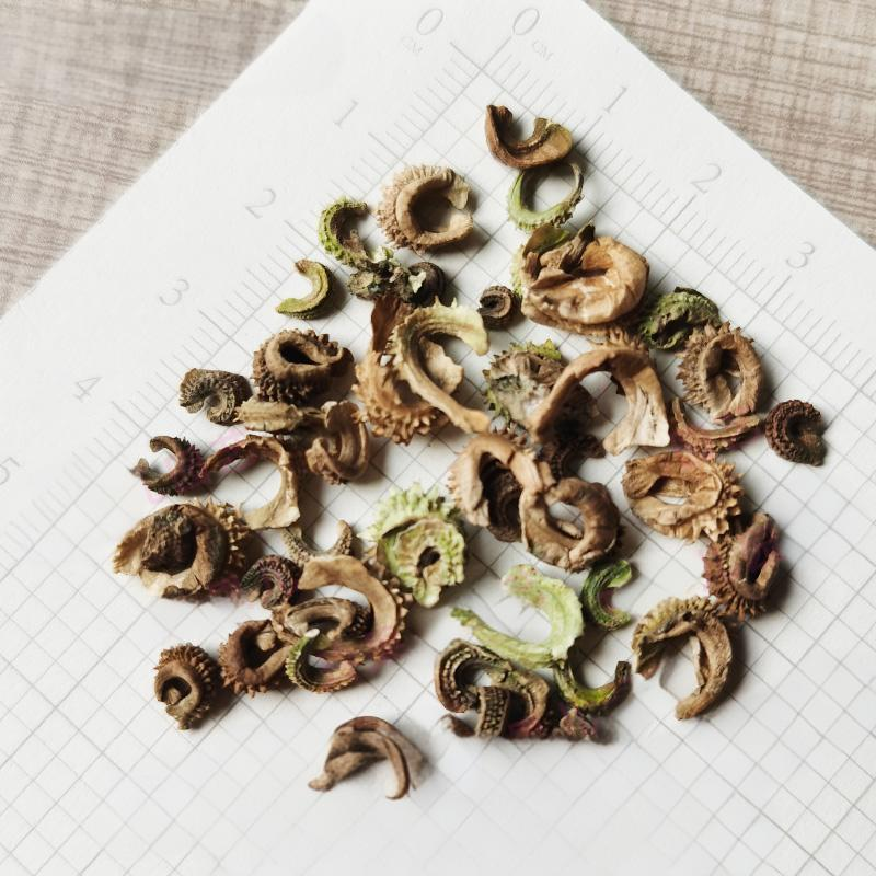 4be45330356dd061b45e4cd61895df12