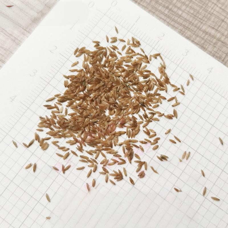 4c66e4659d53aa9b3325883bd76acd3c