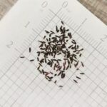 O1CN01dRZbRB2Jkjlv3gkj0__2213216199460_jpg_q50_jpg