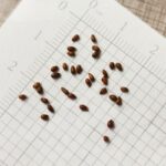 O1CN01Ab4oZV2Jkjlu2Loi8__2213216199460.jpg_q50.jpg__1